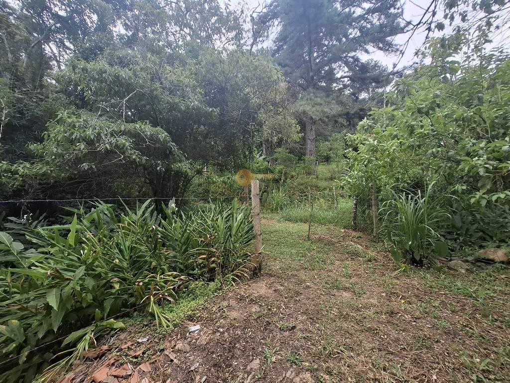 Terreno à venda, 216036m² - Foto 1