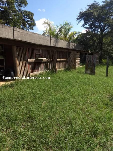 Fazenda à venda com 3 quartos, 10000m² - Foto 8