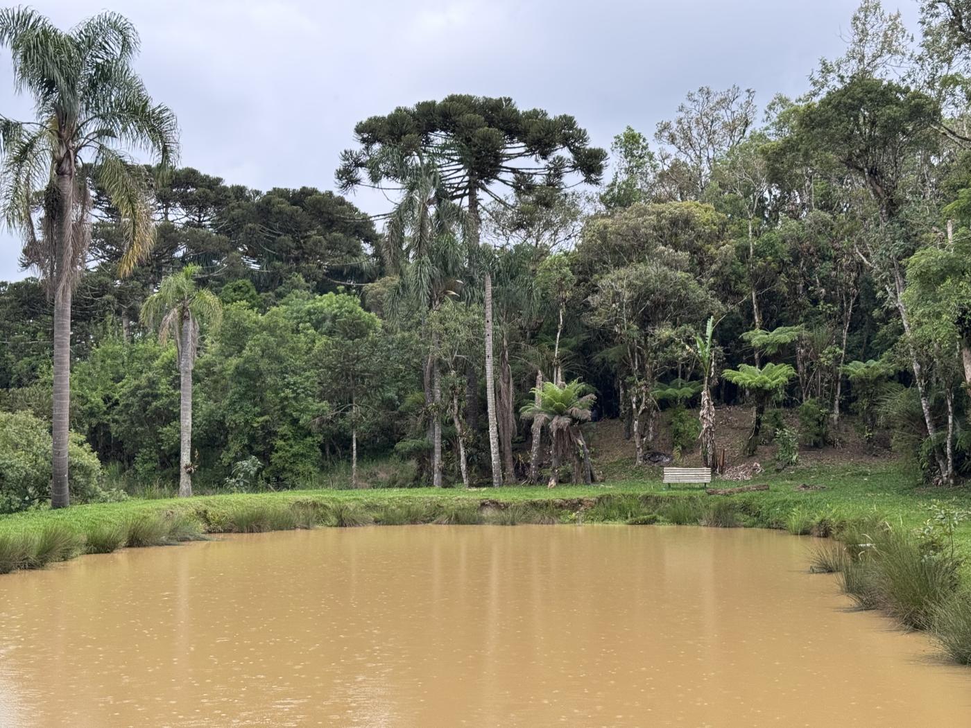 Chácara à venda com 4 quartos, 15000m² - Foto 1