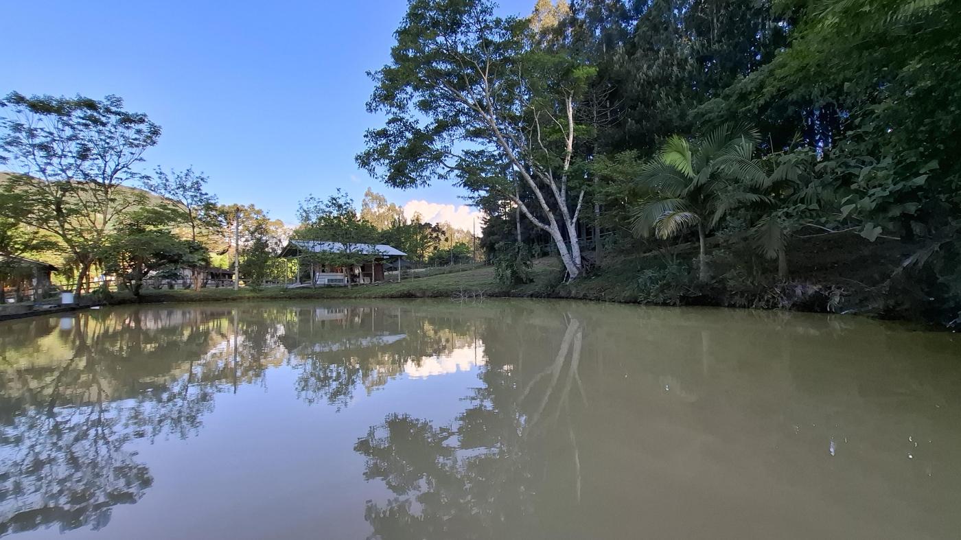 Fazenda à venda com 2 quartos, 8000m² - Foto 14