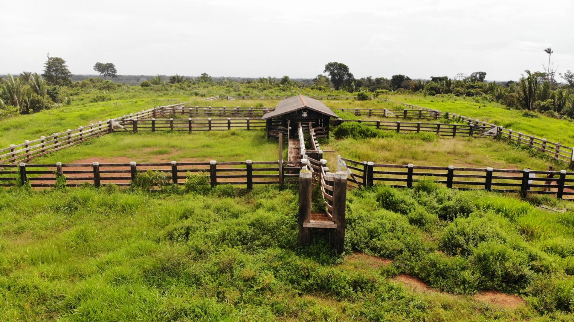 Fazenda à venda, 13648800M2 - Foto 13