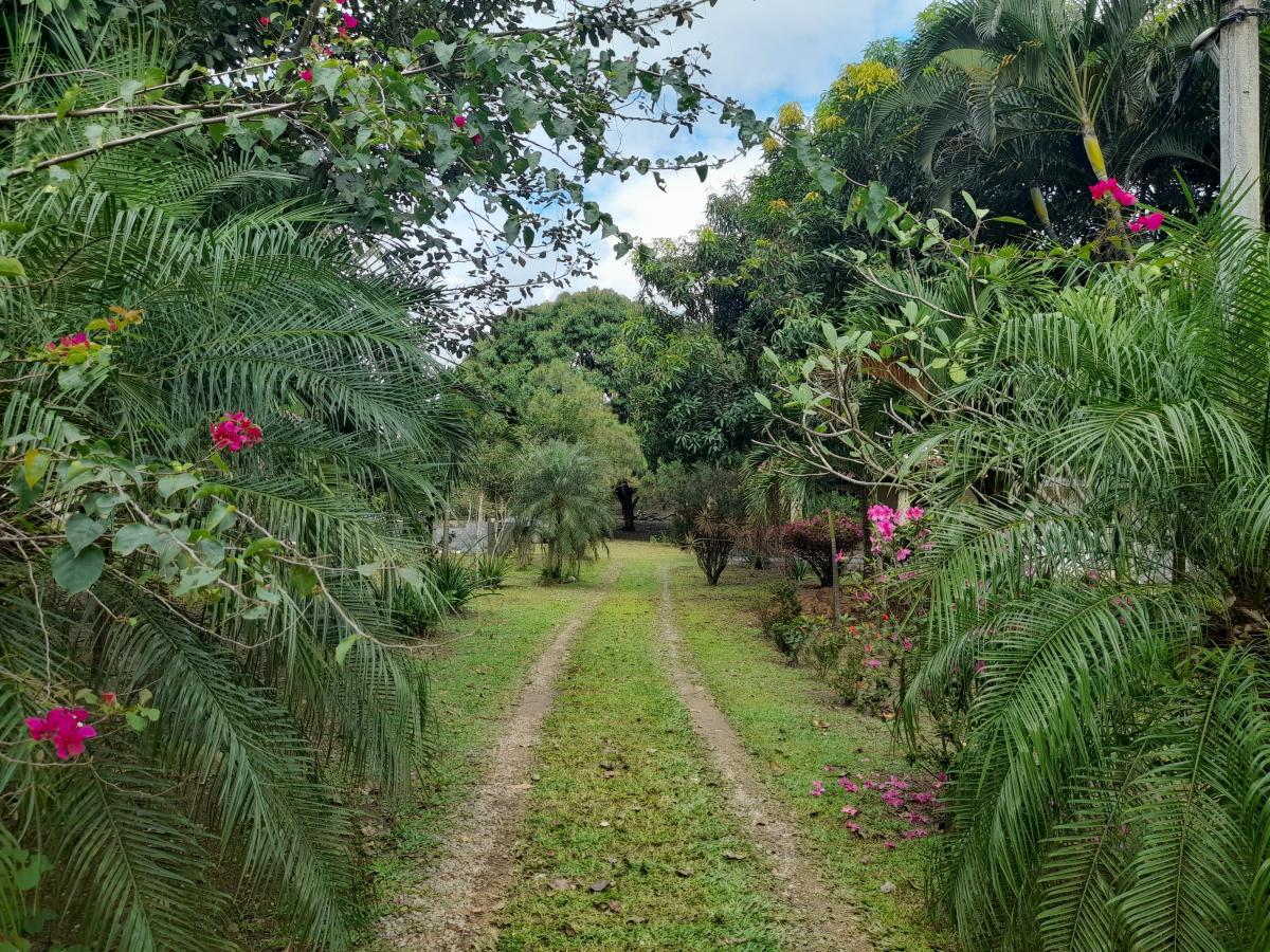 Chácara à venda com 2 quartos, 4000m² - Foto 27