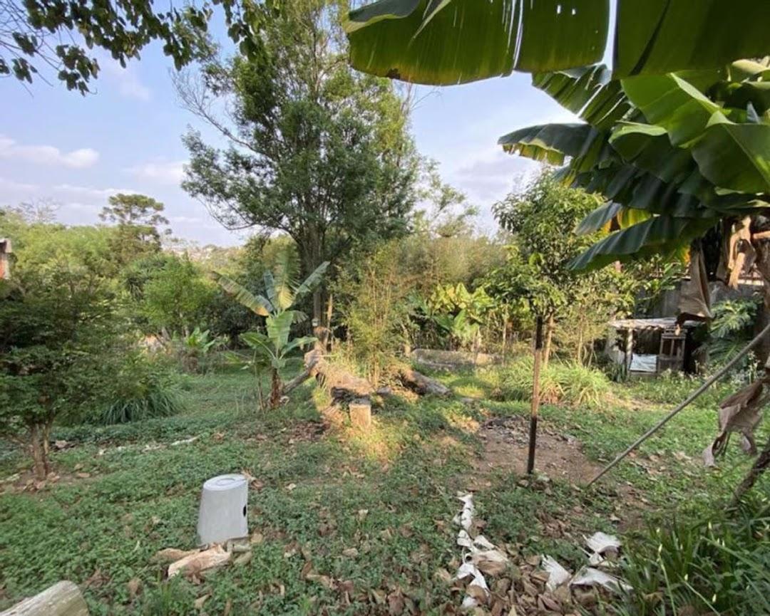 Terreno à venda - Foto 2