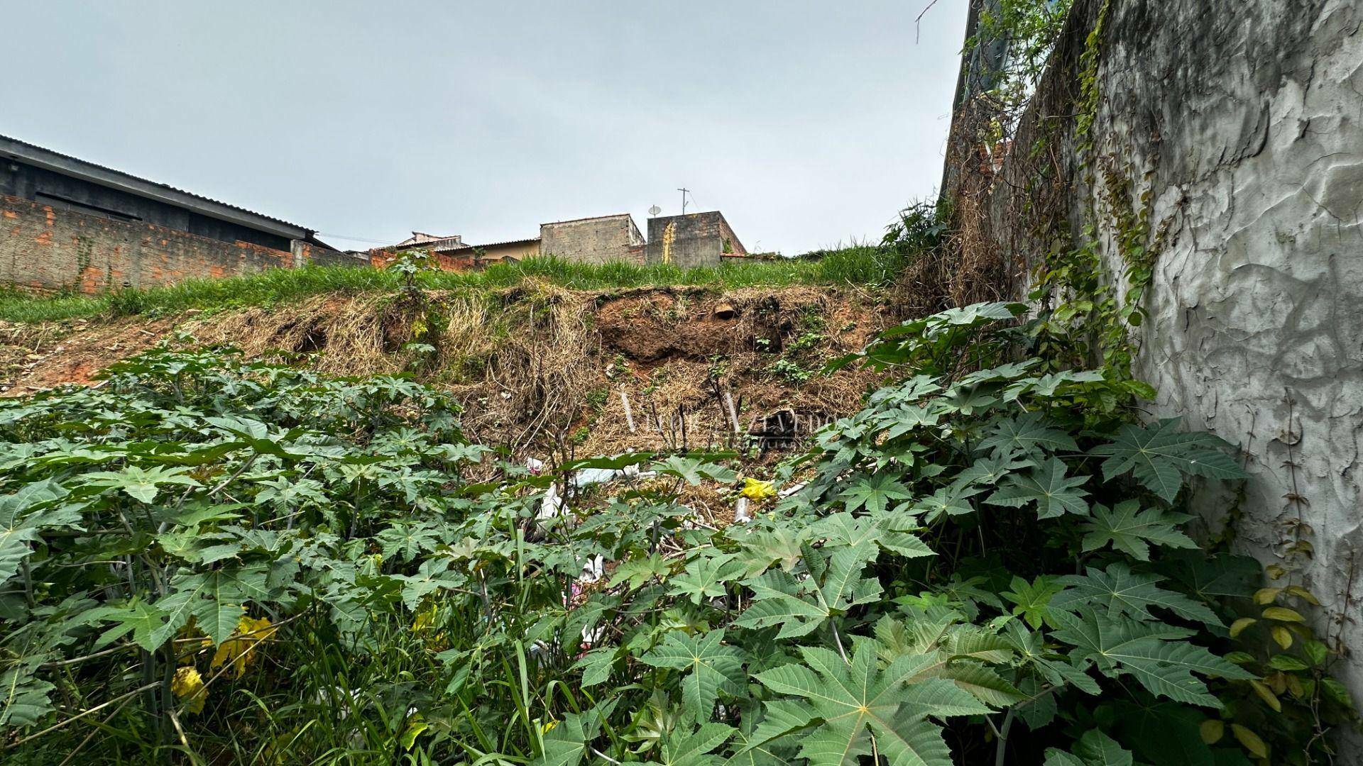 Terreno à venda, 157M2 - Foto 3