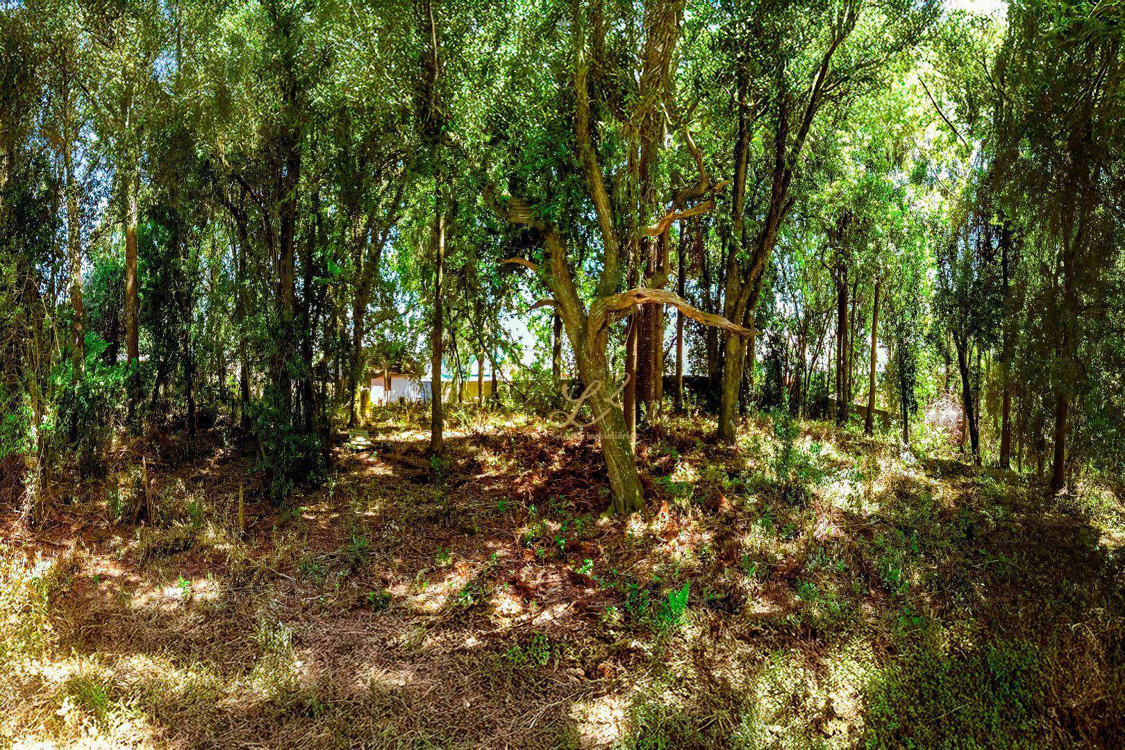 Terreno à venda, 2189M2 - Foto 7