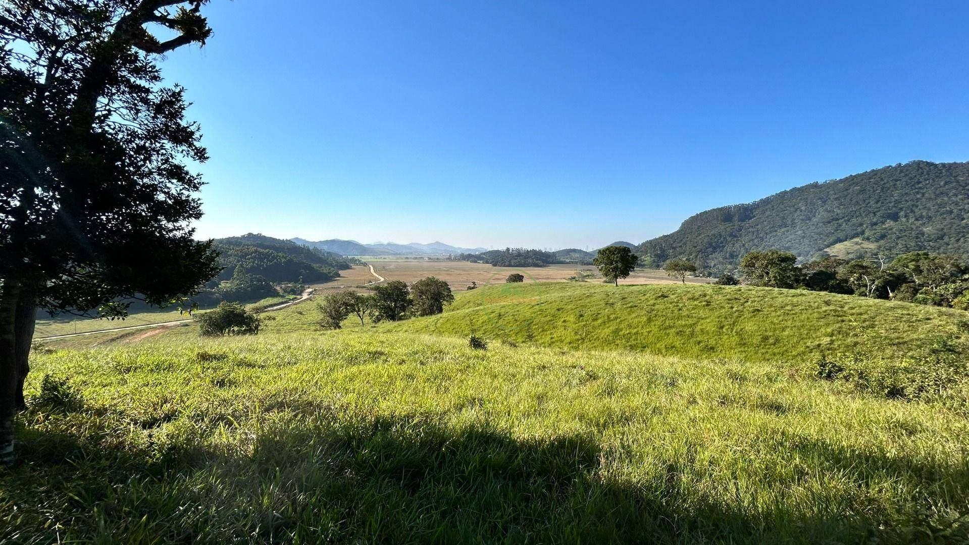 Terreno, 27 hectares - Foto 8