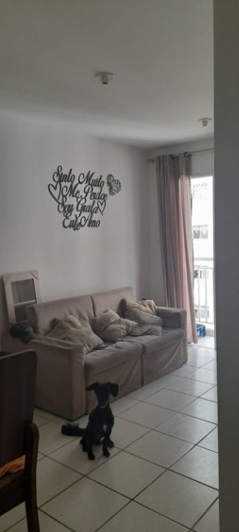 Apartamento à venda com 2 quartos, 52m² - Foto 6