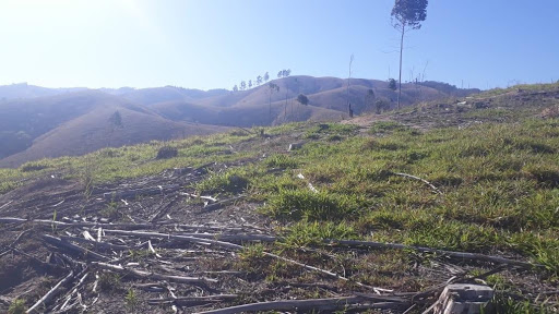 Terreno à venda, 144000M2 - Foto 6