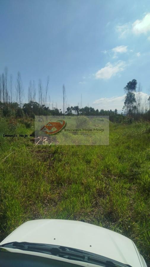 Terreno à venda, 5000m² - Foto 7