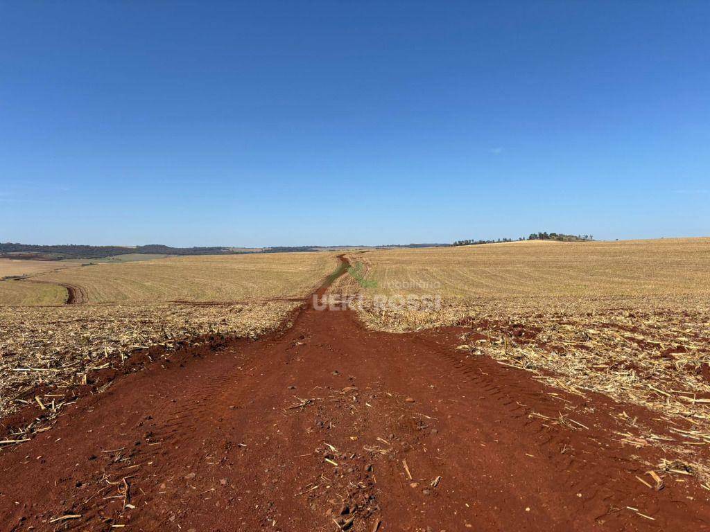 Fazenda, 232 hectares - Foto 5