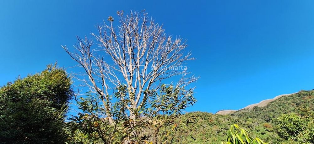 Fazenda à venda com 3 quartos, 64m² - Foto 59