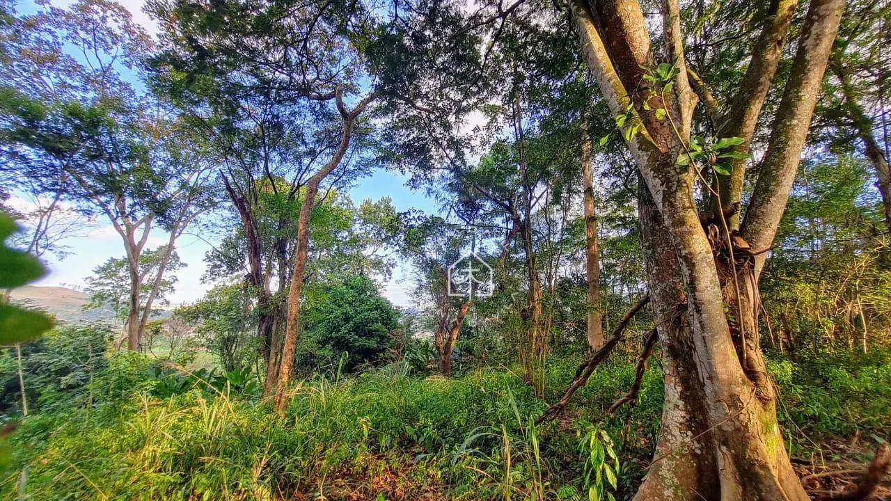 Chácara à venda com 4 quartos, 10000M2 - Foto 9