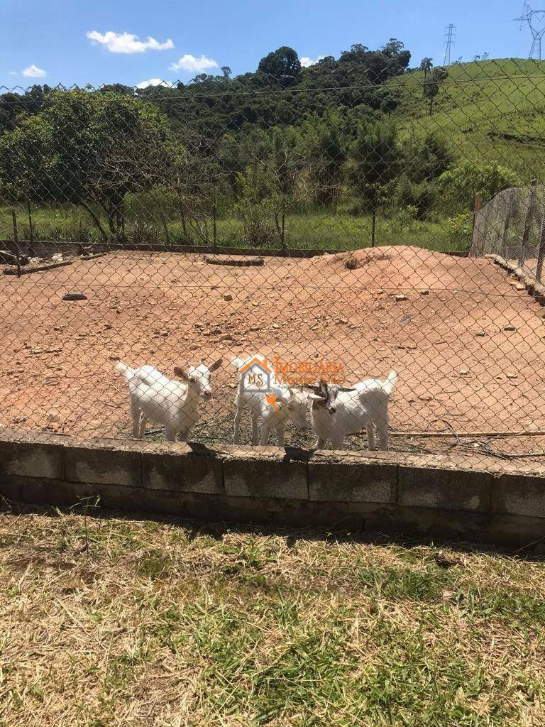 Sítio à venda com 8 quartos, 84000M2 - Foto 17