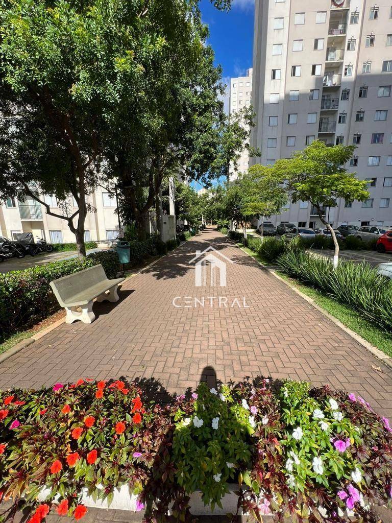 Apartamento à venda com 3 quartos, 58m² - Foto 22