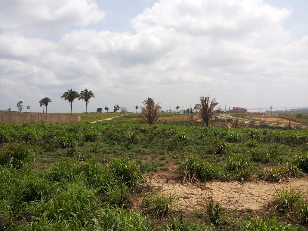 Terreno à venda, 10000M2 - Foto 1