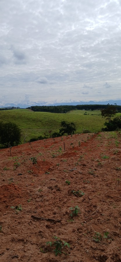 Sítio à venda com 3 quartos, 67000m² - Foto 17