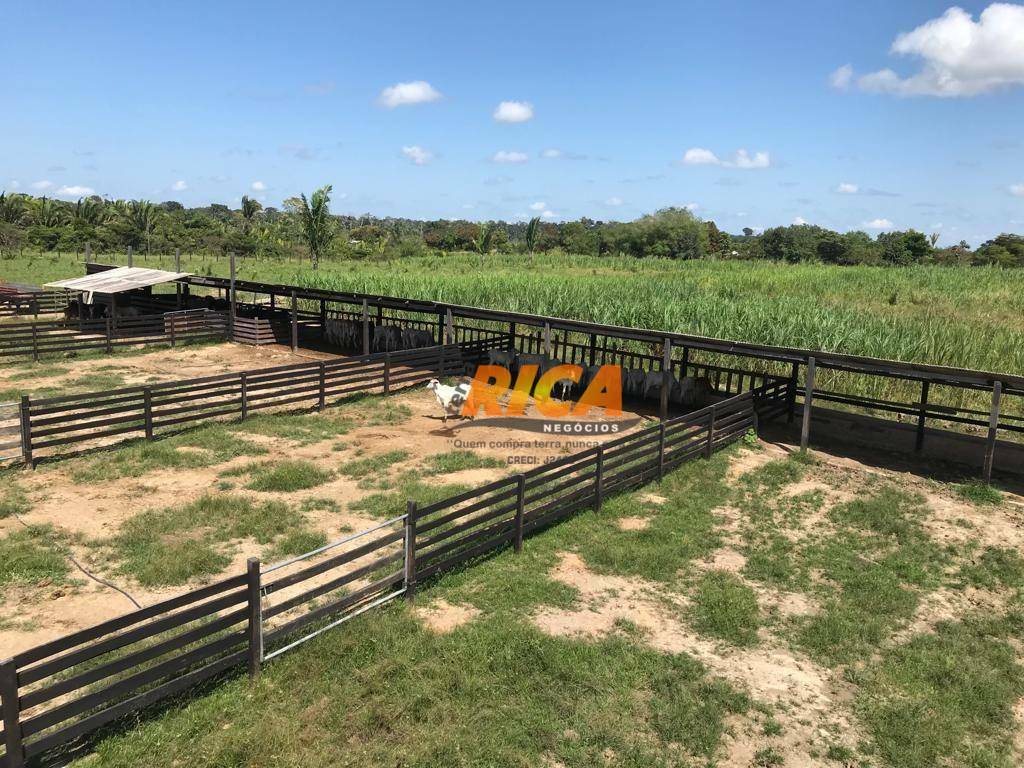 Fazenda à venda com 2 quartos, 1110000M2 - Foto 10