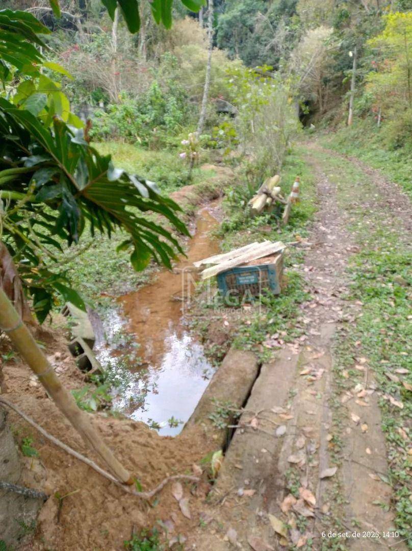 Chácara, 4 quartos, 5000 m² - Foto 6