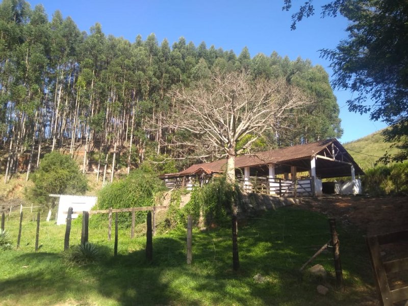 Fazenda à venda, 120m² - Foto 45