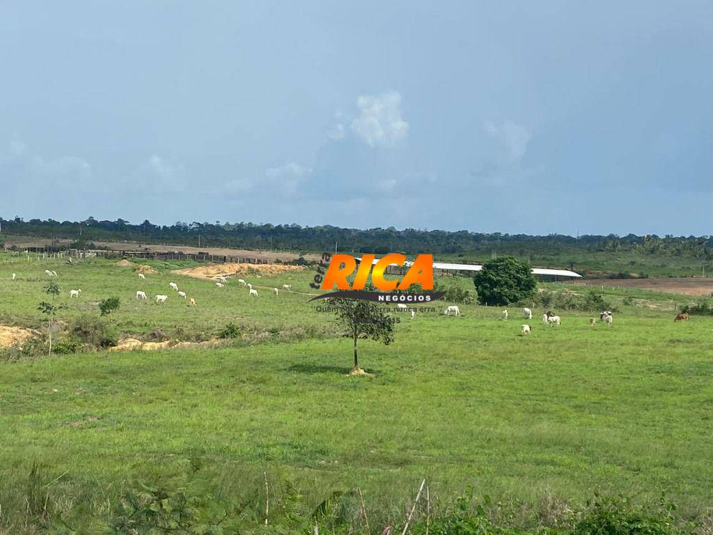 Fazenda, 337 hectares - Foto 5