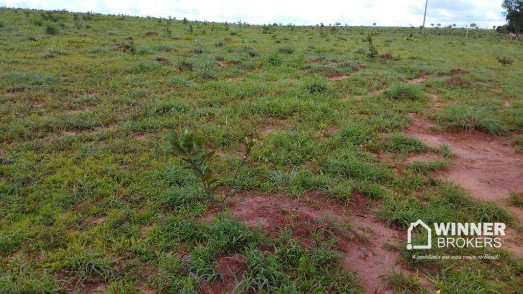 Fazenda, 930 hectares - Foto 6