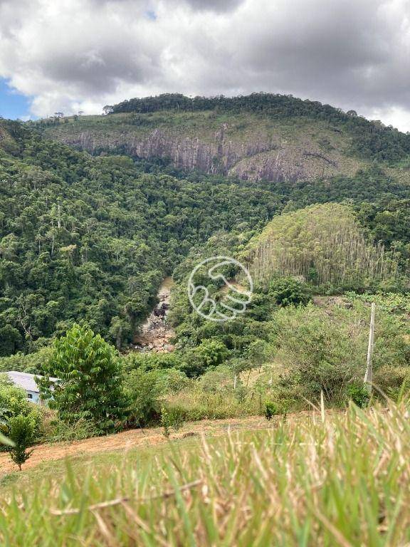 Chácara, 3 quartos, 6000 m² - Foto 9