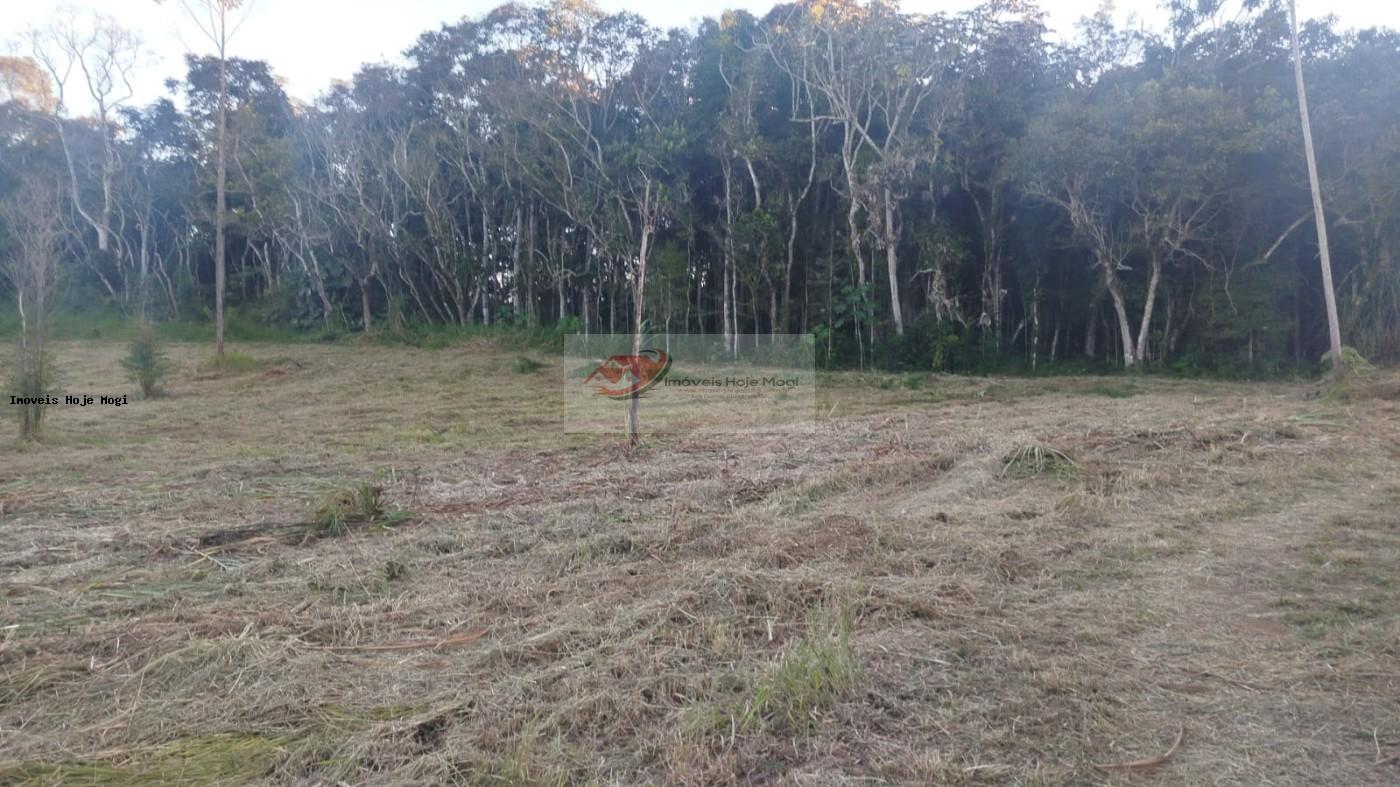 Terreno à venda, 5000m² - Foto 5