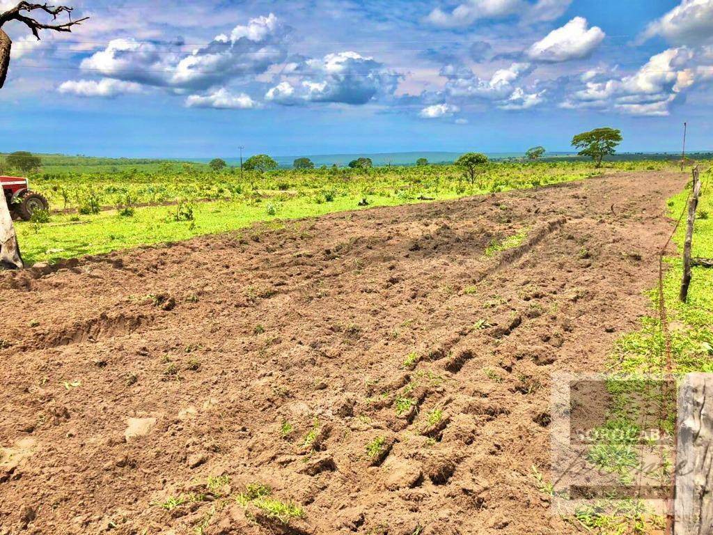 Fazenda-Sítio-Chácara, 1021 hectares - Foto 1