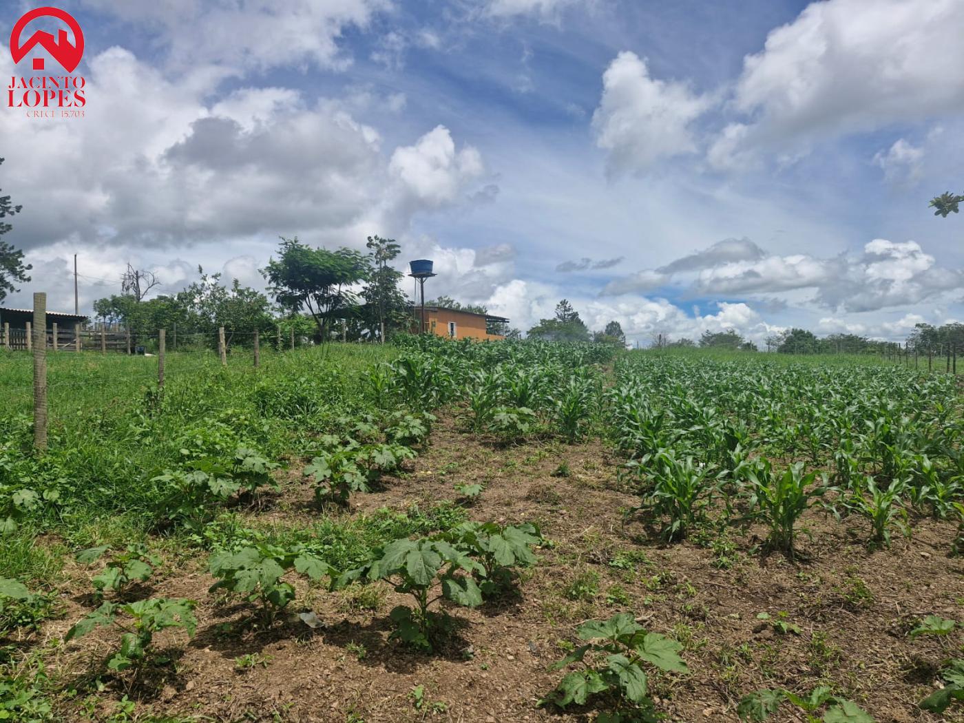 Fazenda à venda com 2 quartos, 120m² - Foto 24