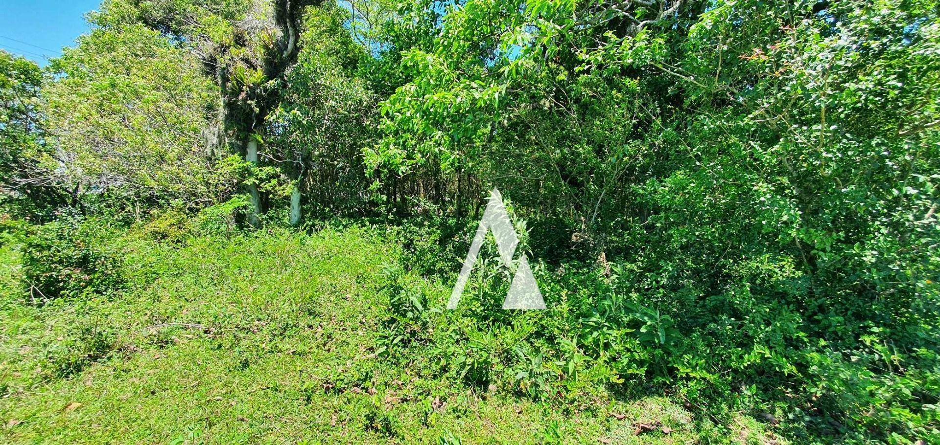 Loteamento e Condomínio à venda, 8000M2 - Foto 15