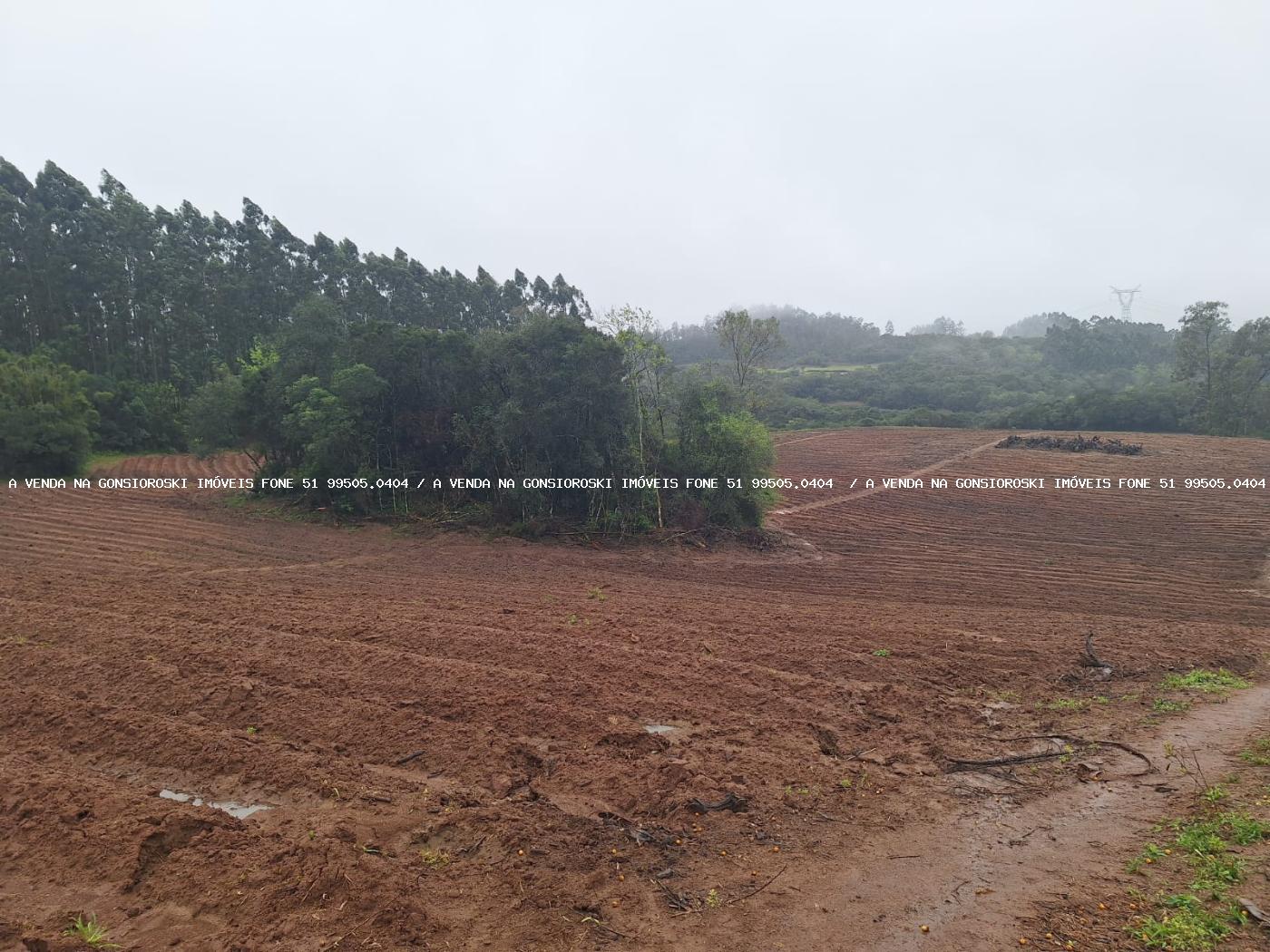 Sítio à venda com 2 quartos, 141000m² - Foto 25