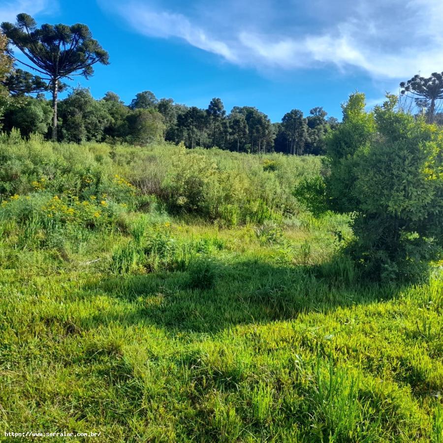 Fazenda à venda, 10m² - Foto 7