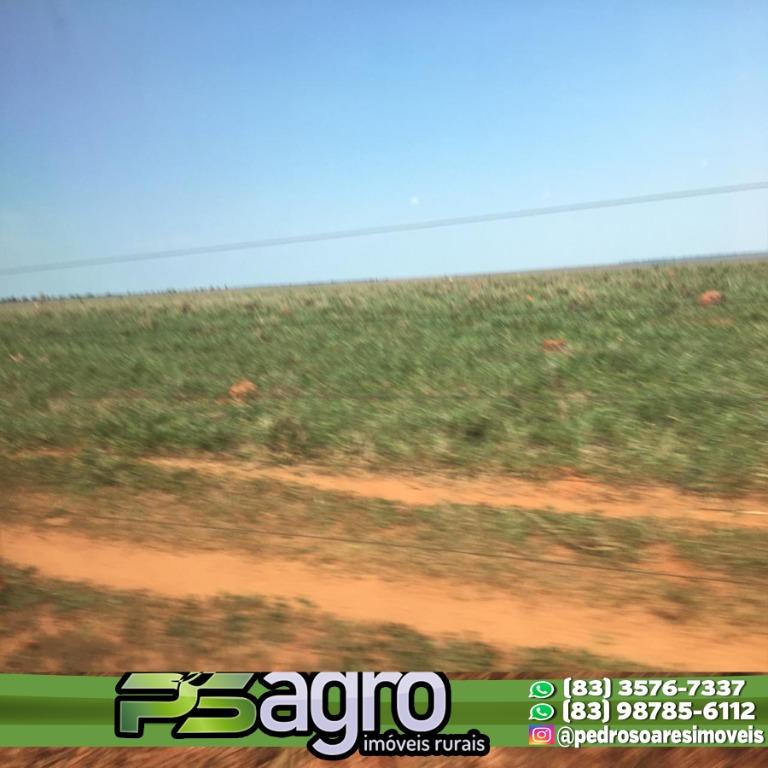 Fazenda-Sítio-Chácara, 5000 hectares - Foto 3