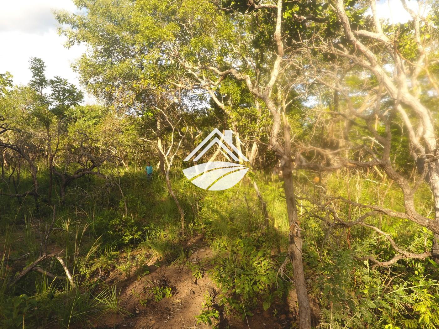 Fazenda-Sítio-Chácara, 1 m² - Foto 30