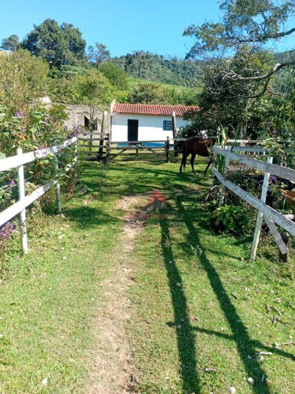 Chácara, 2 quartos, 2 hectares - Foto 5