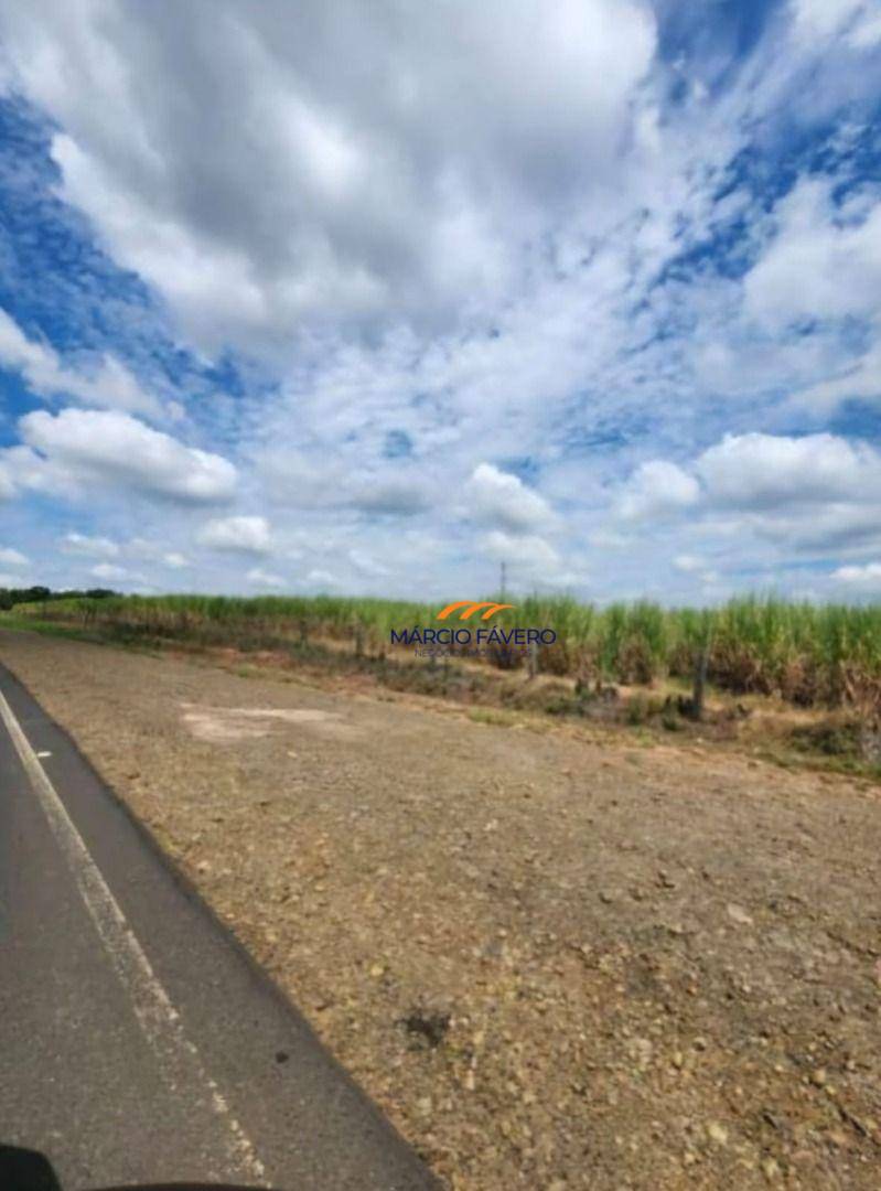 Fazenda, 109 hectares - Foto 12