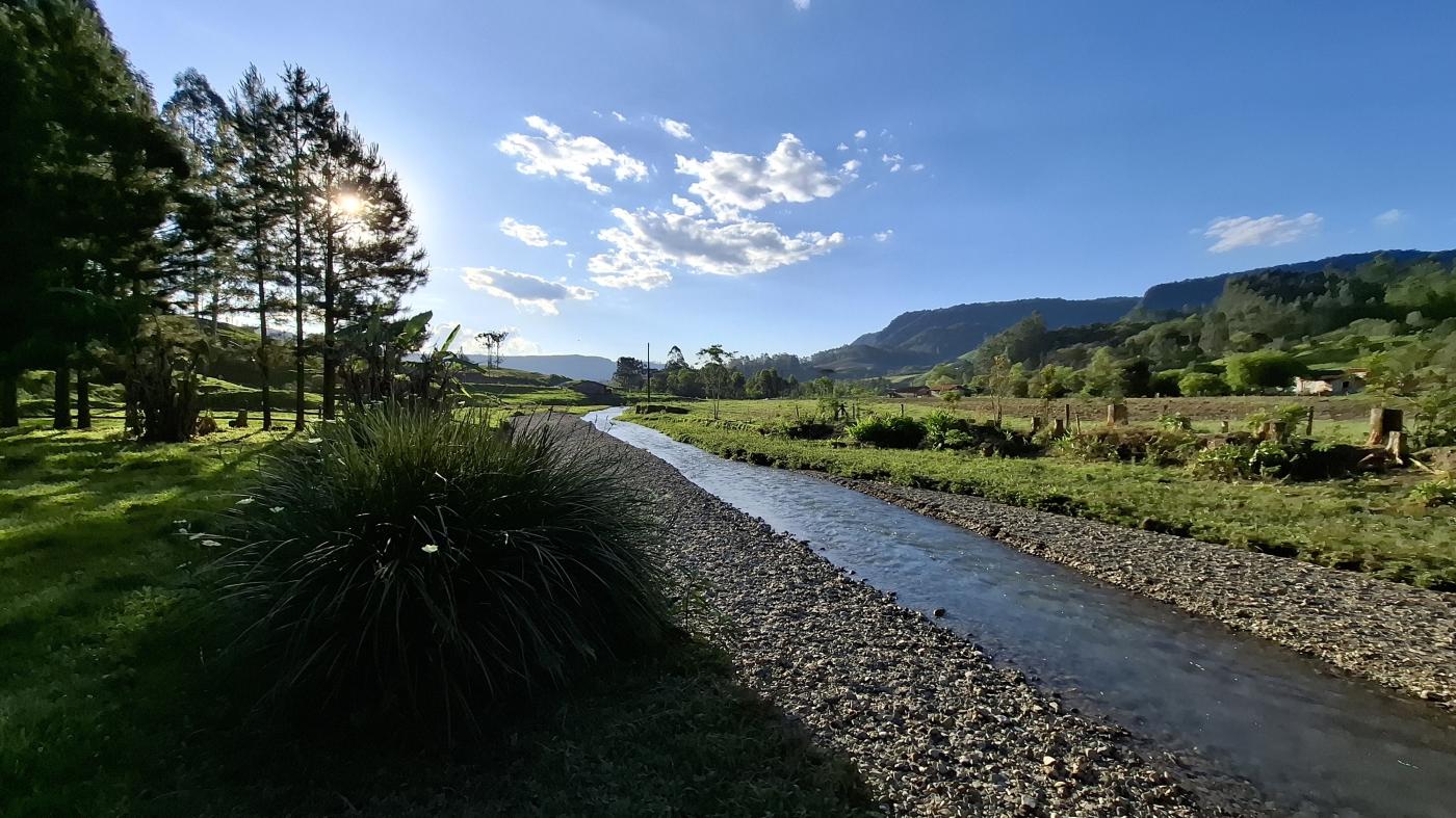 Fazenda à venda com 2 quartos, 8000m² - Foto 33