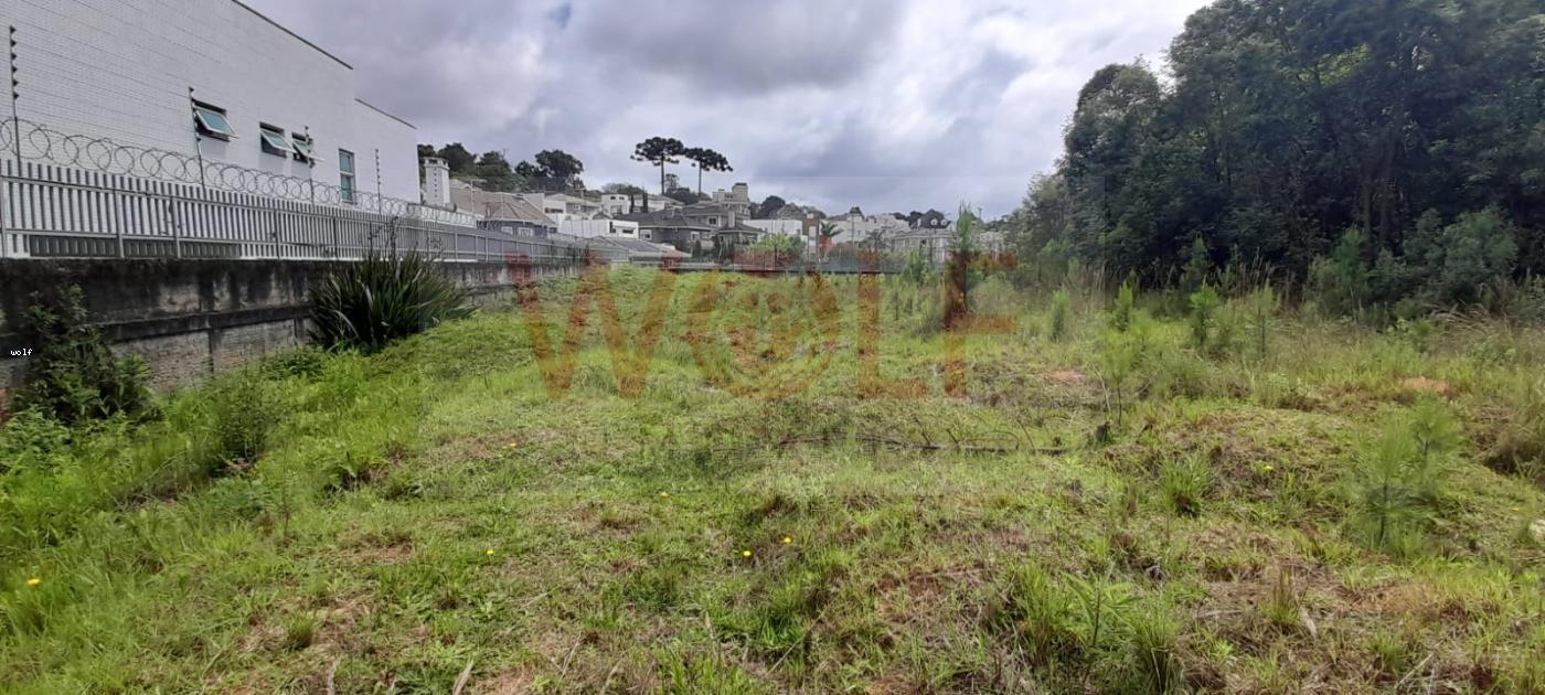 Terreno à venda, 4596m² - Foto 3