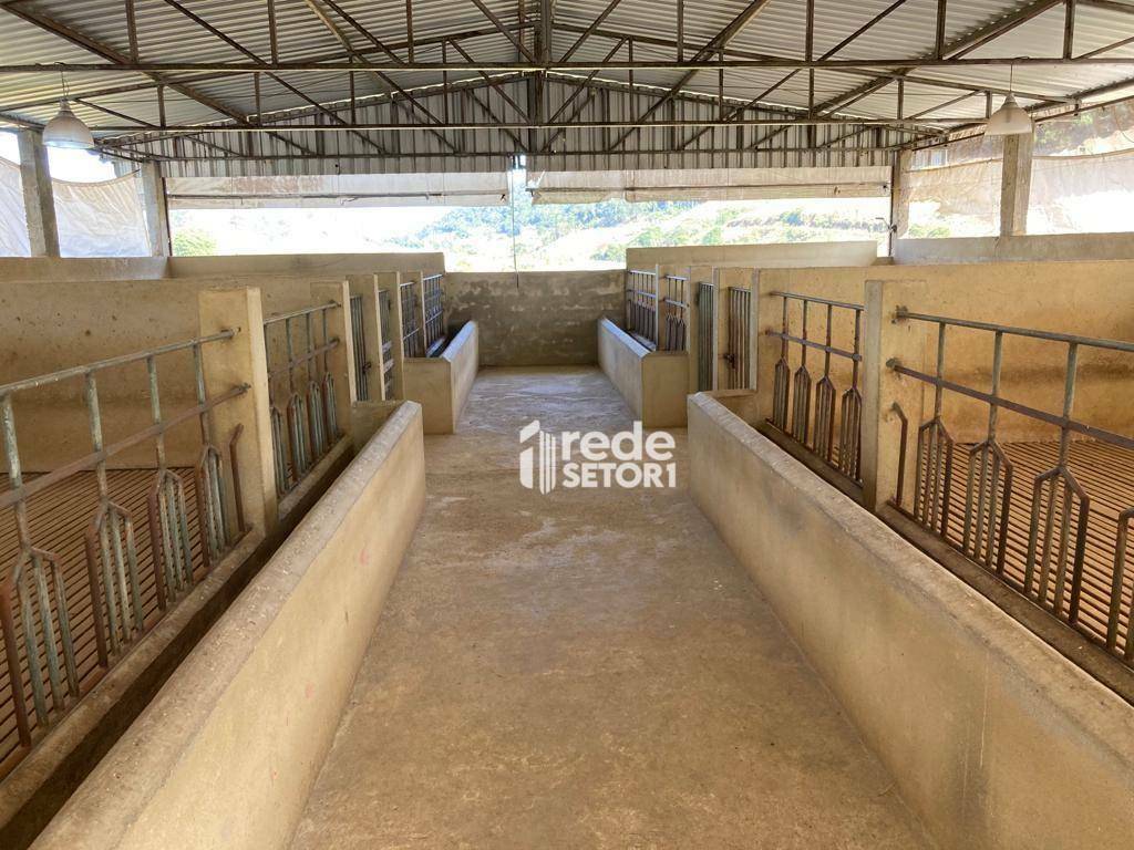 Fazenda à venda com 5 quartos, 383100M2 - Foto 38