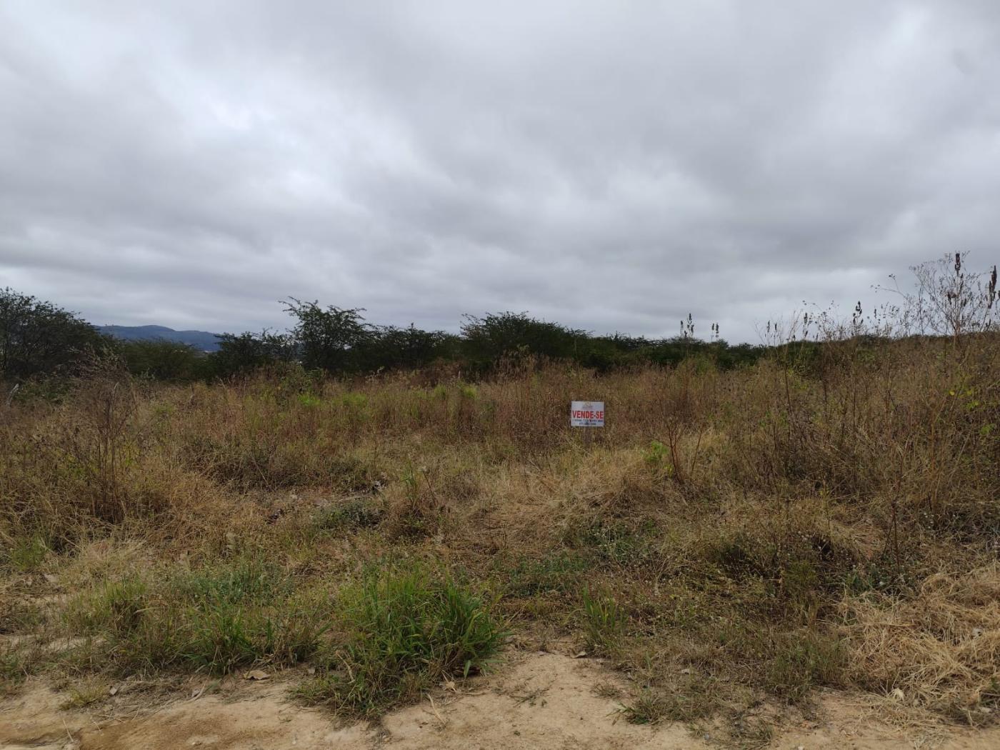 Terreno à venda, 2500m² - Foto 1