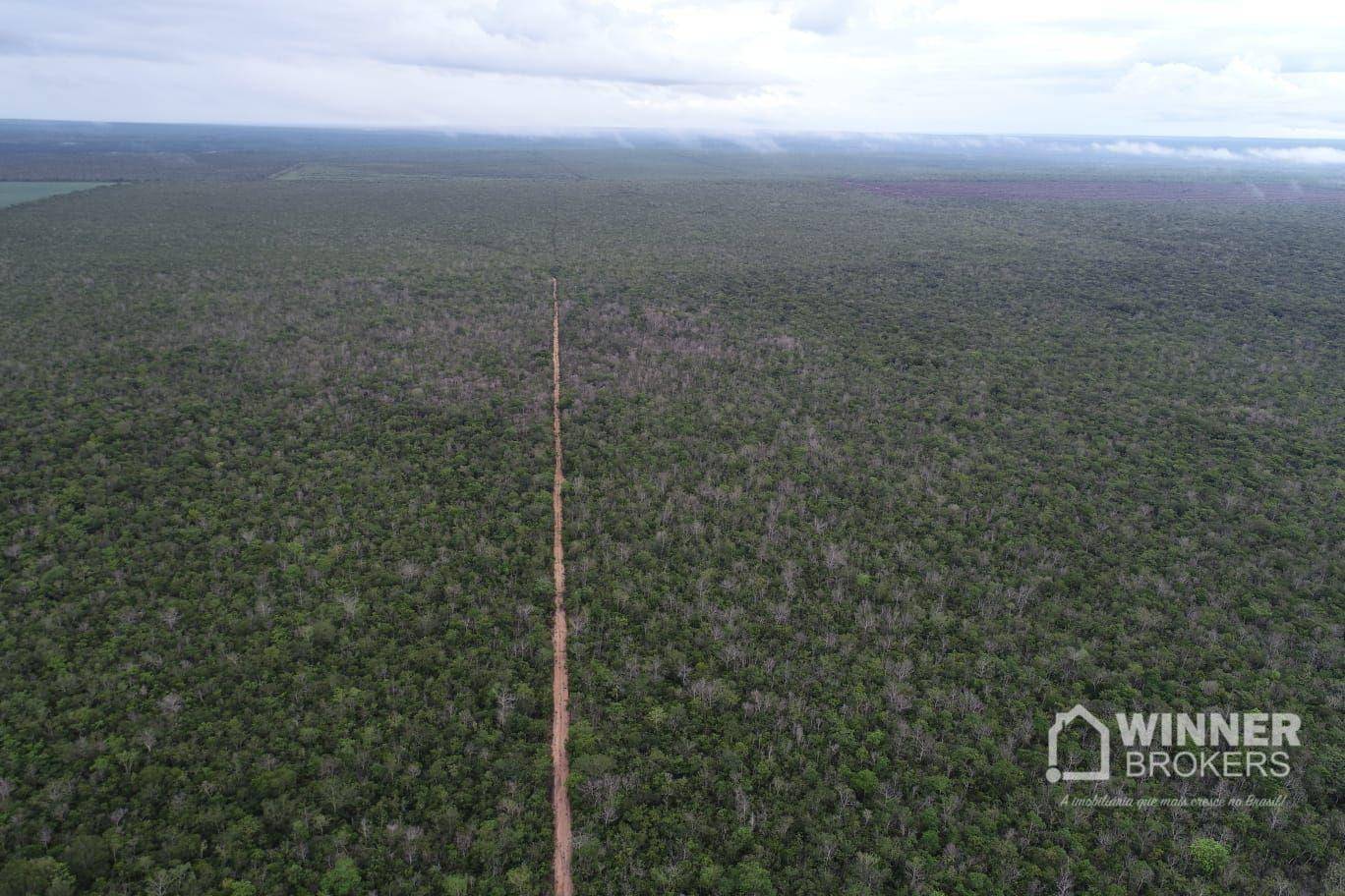 Fazenda-Sítio-Chácara, 563 hectares - Foto 25