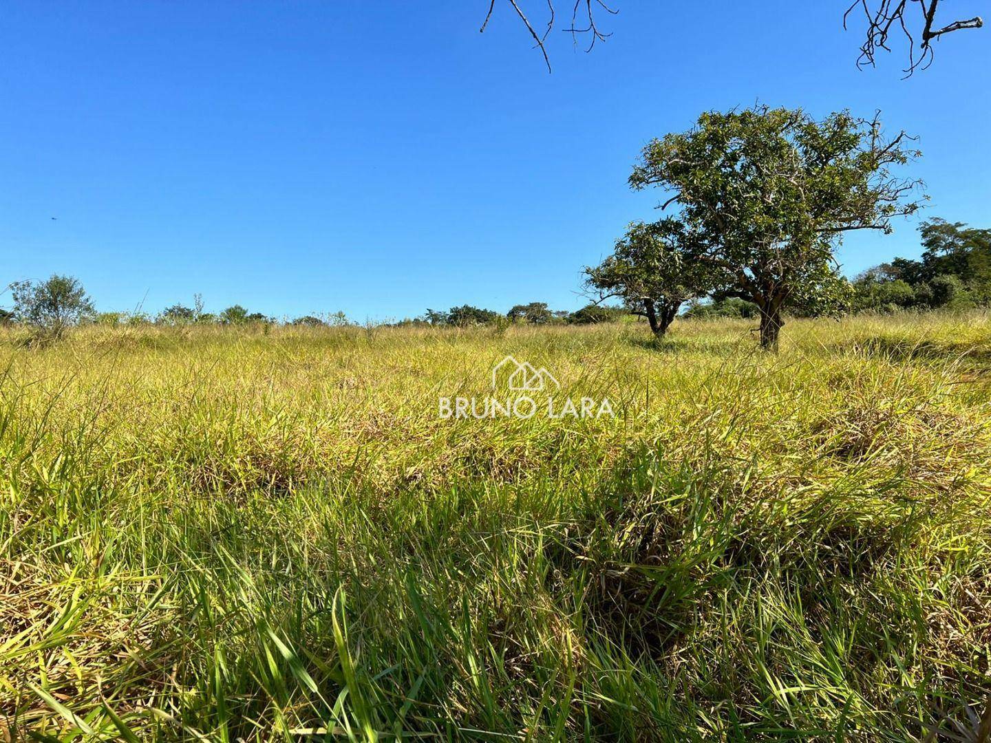 Fazenda à venda com 6 quartos, 1200m² - Foto 8