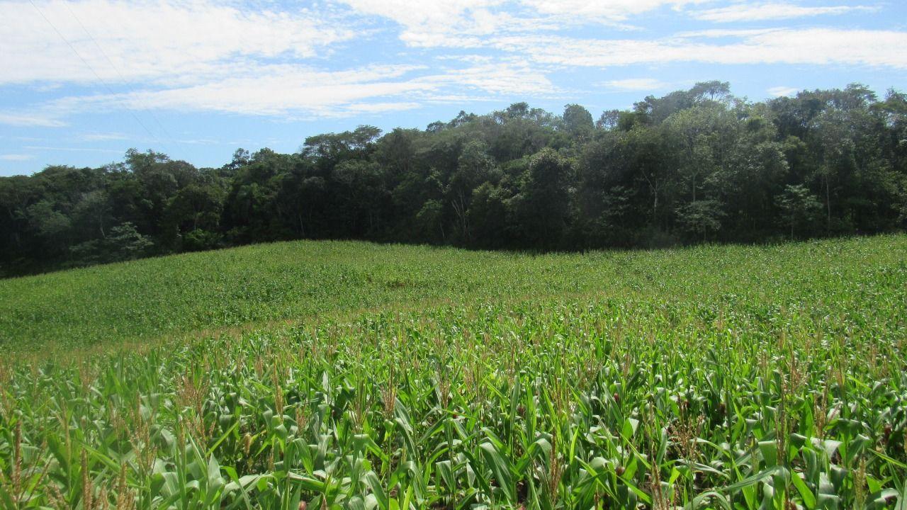 Loteamento e Condomínio à venda, 120000m² - Foto 16