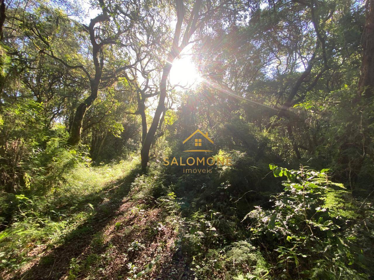 Terreno, 1100 m² - Foto 3