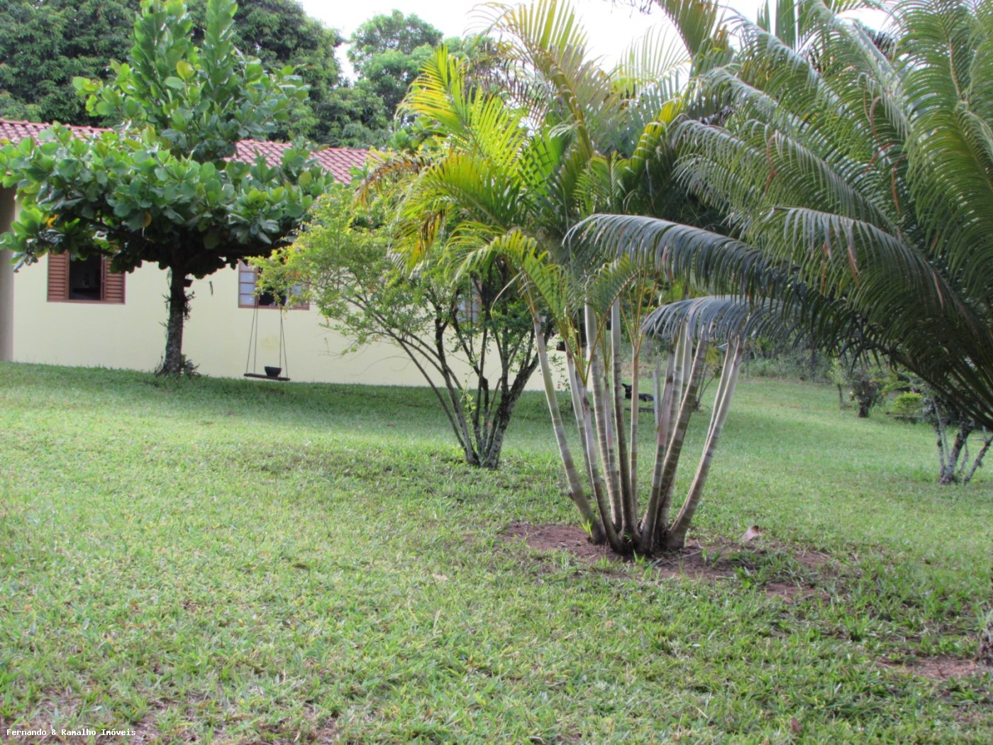 Chácara à venda com 6 quartos, 6000m² - Foto 37