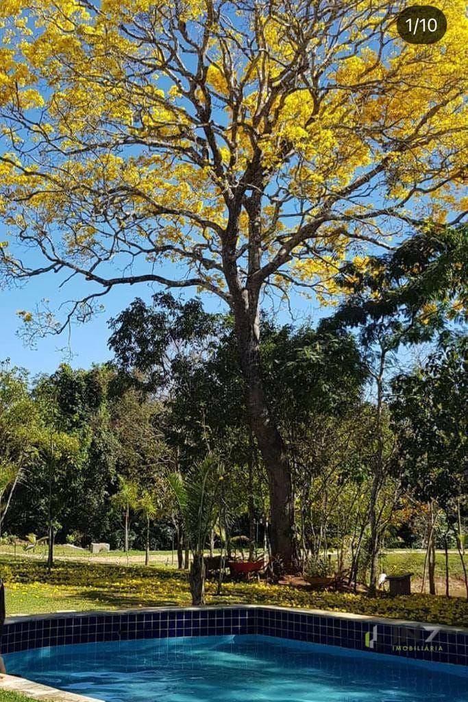 Chácara à venda com 6 quartos, 72600M2 - Foto 22