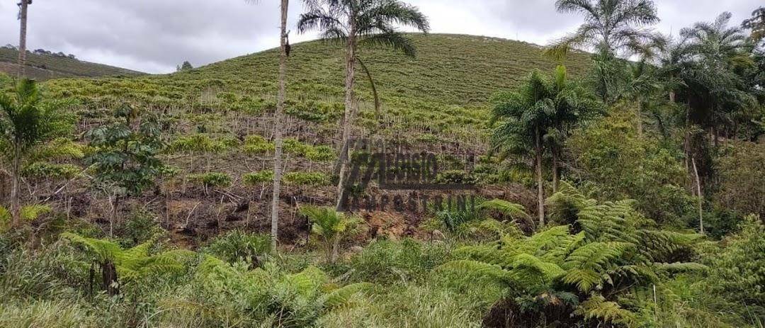 Fazenda à venda, 1452000M2 - Foto 13