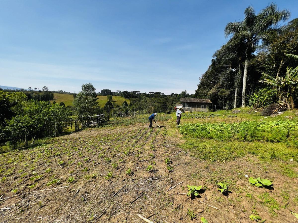 Fazenda à venda, 6300m² - Foto 43