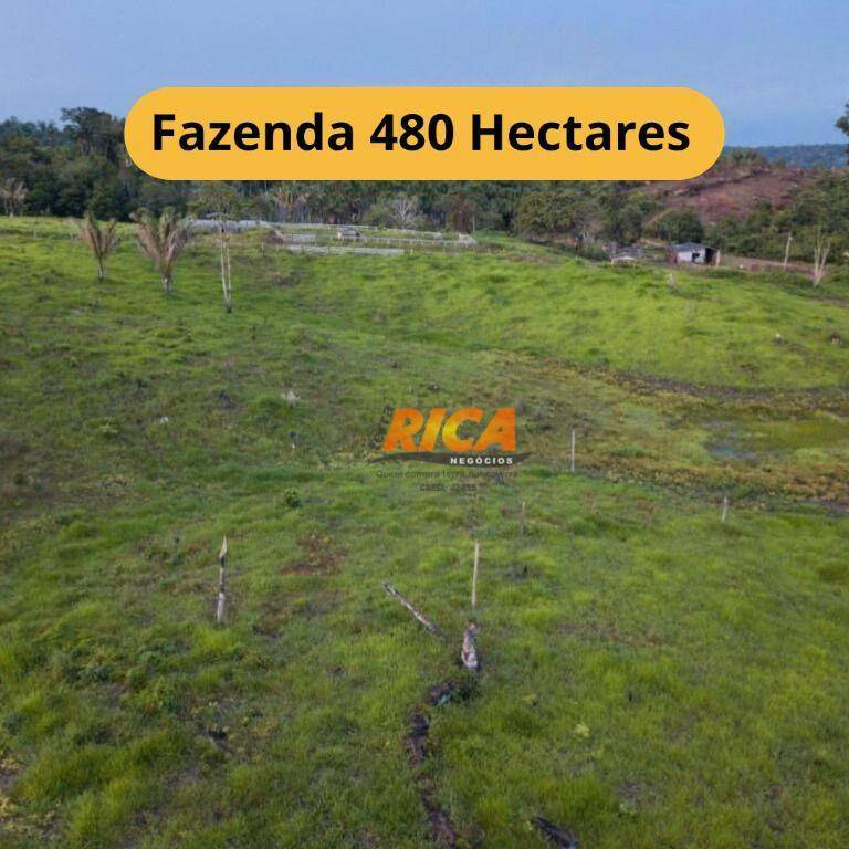 Fazenda-Sítio-Chácara, 480 hectares - Foto 1