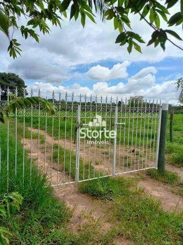 Sítio à venda com 3 quartos, 120000M2 - Foto 8